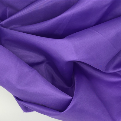 Hot Sell Good Price 100% Polyester Taffeta Fabric changxing china